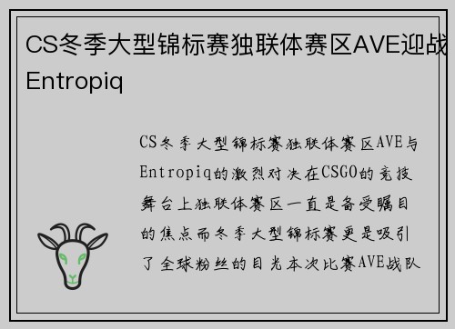 CS冬季大型锦标赛独联体赛区AVE迎战Entropiq